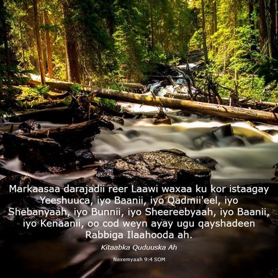 Picture 03 - Nexemyaah 9:4 SOM - Markaasaa darajadii reer Laawi waxaa ku kor - Bible Verse Picture