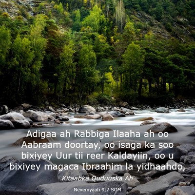 Picture 03 - Nexemyaah 9:7 SOM - Adigaa ah Rabbiga Ilaaha ah oo Aabraam doortay, - Bible Verse Picture