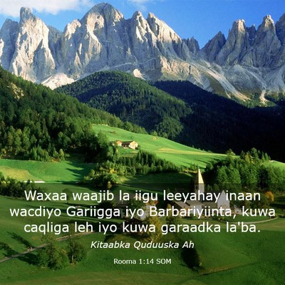 Picture 03 - Rooma 1:14 SOM - Waxaa waajib la iigu leeyahay inaan wacdiyo - Bible Verse Picture