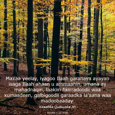 Picture 03 - Rooma 1:21 SOM - Maxaa yeelay, iyagoo Ilaah garanaya ayayan isaga - Bible Verse Picture