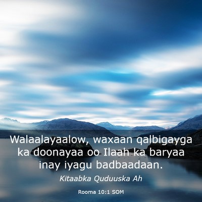 Picture 03 - Rooma 10:1 SOM - Walaalayaalow, waxaan qalbigayga ka doonayaa oo - Bible Verse Picture