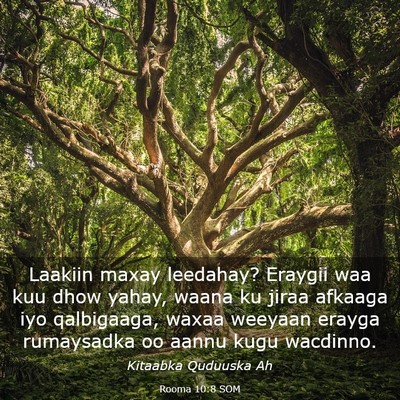 Picture 03 - Rooma 10:8 SOM - Laakiin maxay leedahay? Eraygii waa kuu dhow - Bible Verse Picture
