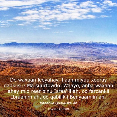 Picture 03 - Rooma 11:1 SOM - De waxaan leeyahay, Ilaah miyuu xooray dadkiisii? - Bible Verse Picture