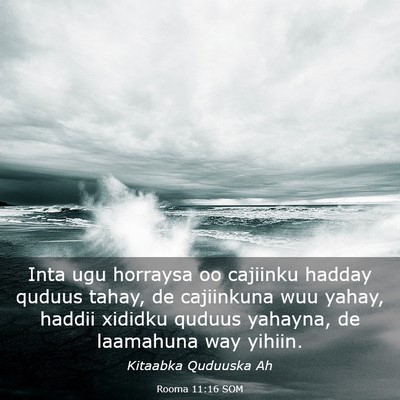Picture 03 - Rooma 11:16 SOM - Inta ugu horraysa oo cajiinku hadday quduus - Bible Verse Picture