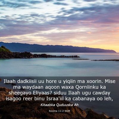 Picture 03 - Rooma 11:2 SOM - Ilaah dadkiisii uu hore u yiqiin ma xoorin. Mise - Bible Verse Picture