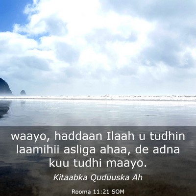 Picture 03 - Rooma 11:21 SOM - waayo, haddaan Ilaah u tudhin laamihii asliga - Bible Verse Picture