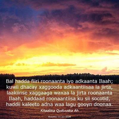 Picture 03 - Rooma 11:22 SOM - Bal hadda fiiri roonaanta iyo adkaanta Ilaah; - Bible Verse Picture