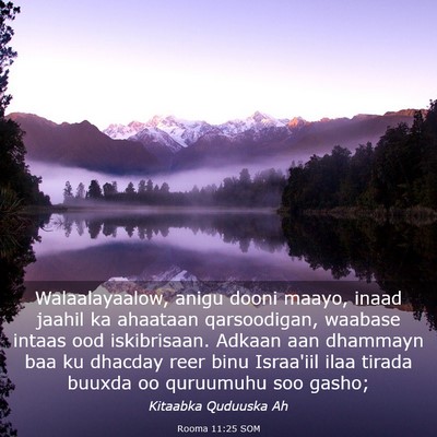 Picture 03 - Rooma 11:25 SOM - Walaalayaalow, anigu dooni maayo, inaad jaahil ka - Bible Verse Picture