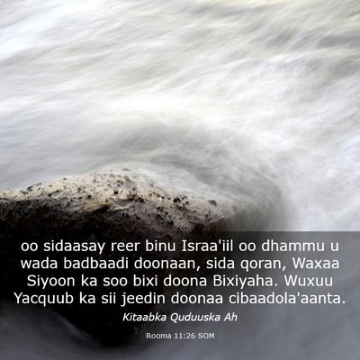 Picture 03 - Rooma 11:26 SOM - oo sidaasay reer binu Israa'iil oo dhammu u wada - Bible Verse Picture