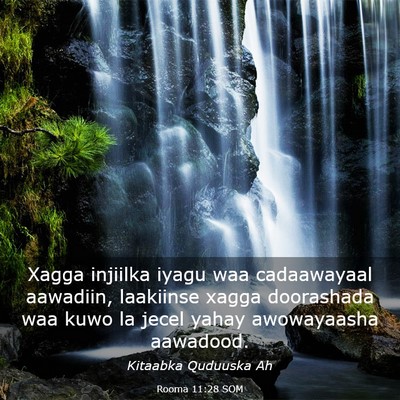 Picture 03 - Rooma 11:28 SOM - Xagga injiilka iyagu waa cadaawayaal aawadiin, - Bible Verse Picture