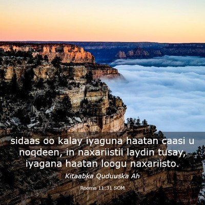 Picture 03 - Rooma 11:31 SOM - sidaas oo kalay iyaguna haatan caasi u noqdeen, - Bible Verse Picture