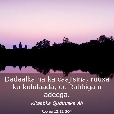 Picture 03 - Rooma 12:11 SOM - Dadaalka ha ka caajisina, ruuxa ku kululaada, oo - Bible Verse Picture
