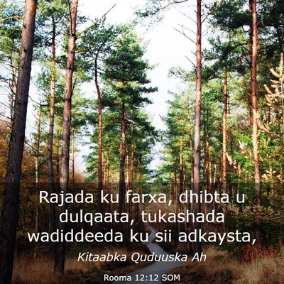 Picture 03 - Rooma 12:12 SOM - Rajada ku farxa, dhibta u dulqaata, tukashada - Bible Verse Picture