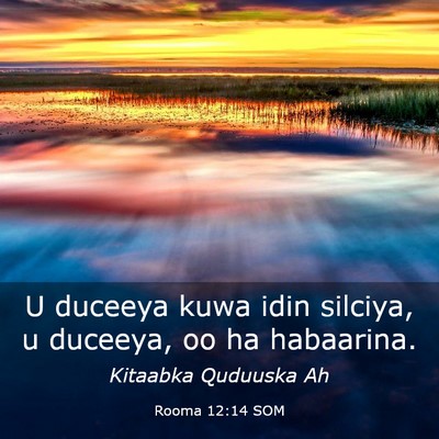 Picture 03 - Rooma 12:14 SOM - U duceeya kuwa idin silciya, u duceeya, oo ha - Bible Verse Picture