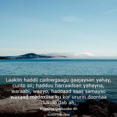 Picture 03 - Rooma 12:20 SOM - Laakiin haddii cadowgaagu gaajaysan yahay, cunto - Bible Verse Picture