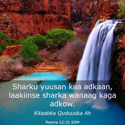 Picture 03 - Rooma 12:21 SOM - Sharku yuusan kaa adkaan, laakiinse sharka wanaag - Bible Verse Picture