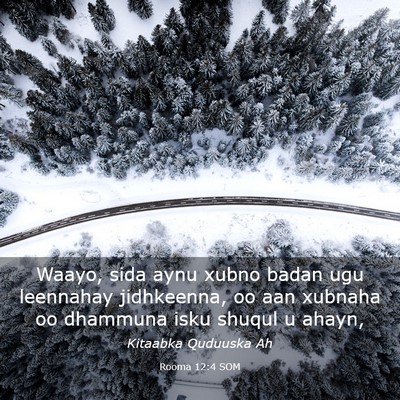 Picture 03 - Rooma 12:4 SOM - Waayo, sida aynu xubno badan ugu leennahay - Bible Verse Picture