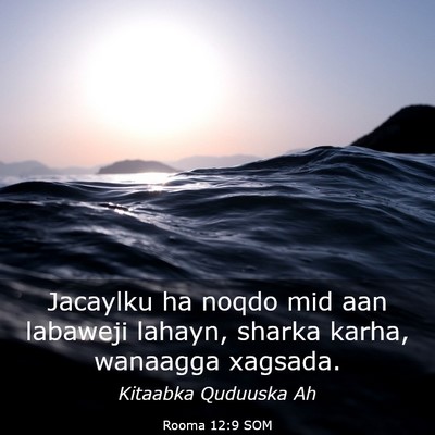Picture 03 - Rooma 12:9 SOM - Jacaylku ha noqdo mid aan labaweji lahayn, sharka - Bible Verse Picture