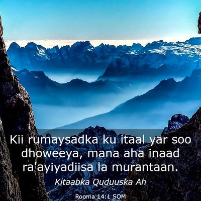 Picture 03 - Rooma 14:1 SOM - Kii rumaysadka ku itaal yar soo dhoweeya, mana - Bible Verse Picture