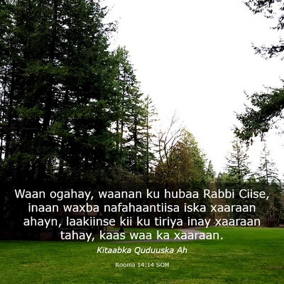 Picture 03 - Rooma 14:14 SOM - Waan ogahay, waanan ku hubaa Rabbi Ciise, inaan - Bible Verse Picture