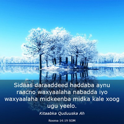Picture 03 - Rooma 14:19 SOM - Sidaas daraaddeed haddaba aynu raacno waxyaalaha - Bible Verse Picture