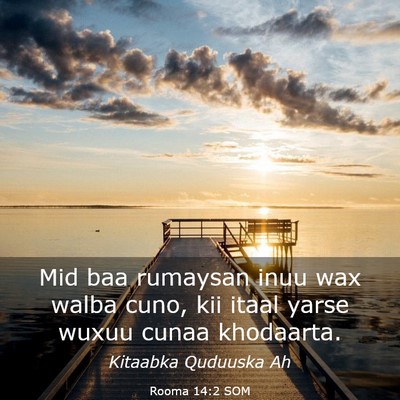 Picture 03 - Rooma 14:2 SOM - Mid baa rumaysan inuu wax walba cuno, kii itaal - Bible Verse Picture