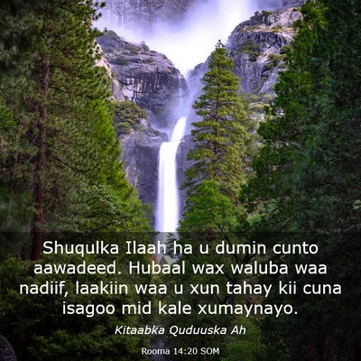 Picture 03 - Rooma 14:20 SOM - Shuqulka Ilaah ha u dumin cunto aawadeed. Hubaal - Bible Verse Picture