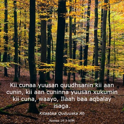 Picture 03 - Rooma 14:3 SOM - Kii cunaa yuusan quudhsanin kii aan cunin, kii - Bible Verse Picture