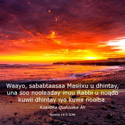 Picture 03 - Rooma 14:9 SOM - Waayo, sababtaasaa Masiixu u dhintay, una soo - Bible Verse Picture