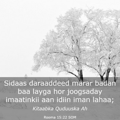 Picture 03 - Rooma 15:22 SOM - Sidaas daraaddeed marar badan baa layga hor - Bible Verse Picture