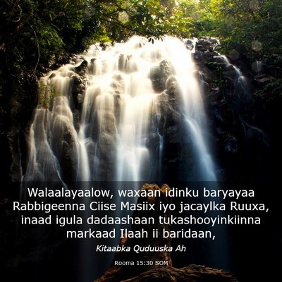 Picture 03 - Rooma 15:30 SOM - Walaalayaalow, waxaan idinku baryayaa Rabbigeenna - Bible Verse Picture