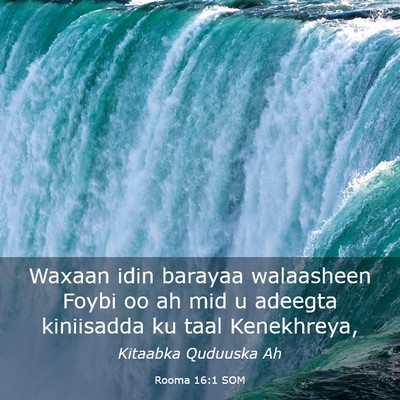 Picture 03 - Rooma 16:1 SOM - Waxaan idin barayaa walaasheen Foybi oo ah mid u - Bible Verse Picture
