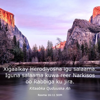 Picture 03 - Rooma 16:11 SOM - Xigaalkay Herodiyosna igu salaama. Iguna salaama - Bible Verse Picture
