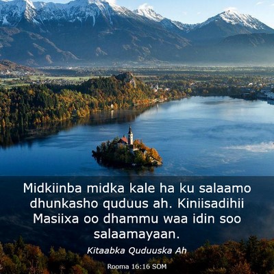 Picture 03 - Rooma 16:16 SOM - Midkiinba midka kale ha ku salaamo dhunkasho - Bible Verse Picture
