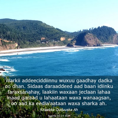Picture 03 - Rooma 16:19 SOM - Warkii addeeciddiinnu wuxuu gaadhay dadka oo - Bible Verse Picture