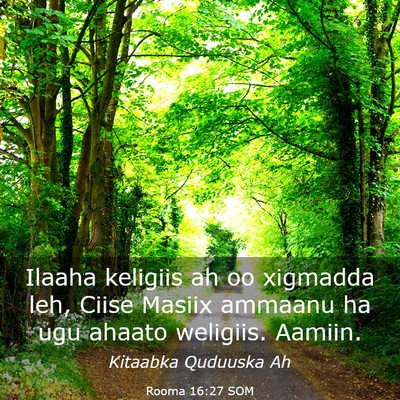 Picture 03 - Rooma 16:27 SOM - Ilaaha keligiis ah oo xigmadda leh, Ciise Masiix - Bible Verse Picture