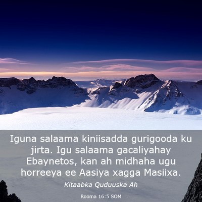 Picture 03 - Rooma 16:5 SOM - Iguna salaama kiniisadda gurigooda ku jirta. Igu - Bible Verse Picture