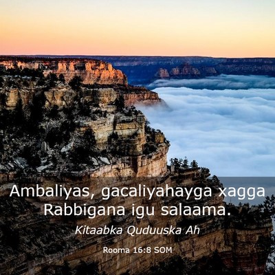 Picture 03 - Rooma 16:8 SOM - Ambaliyas, gacaliyahayga xagga Rabbigana igu - Bible Verse Picture