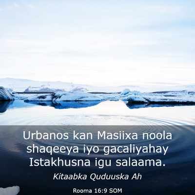 Picture 03 - Rooma 16:9 SOM - Urbanos kan Masiixa noola shaqeeya iyo - Bible Verse Picture
