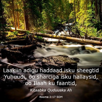 Picture 03 - Rooma 2:17 SOM - Laakiin adigu haddaad isku sheegtid Yuhuudi, oo - Bible Verse Picture