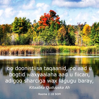 Picture 03 - Rooma 2:18 SOM - oo doonistiisa taqaanid, oo aad u bogtid - Bible Verse Picture