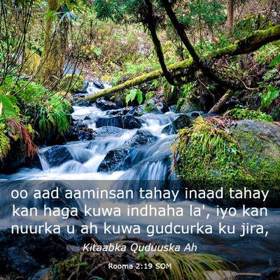 Picture 03 - Rooma 2:19 SOM - oo aad aaminsan tahay inaad tahay kan haga kuwa - Bible Verse Picture
