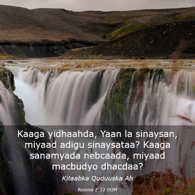 Picture 03 - Rooma 2:22 SOM - Kaaga yidhaahda, Yaan la sinaysan, miyaad adigu - Bible Verse Picture