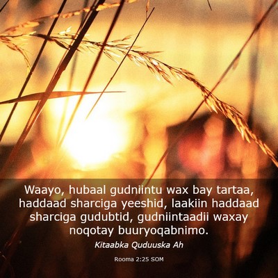 Picture 03 - Rooma 2:25 SOM - Waayo, hubaal gudniintu wax bay tartaa, haddaad - Bible Verse Picture