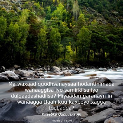 Picture 03 - Rooma 2:4 SOM - Ma waxaad quudhsanaysaa hodantinimada wanaaggisa - Bible Verse Picture