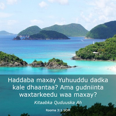 Picture 03 - Rooma 3:1 SOM - Haddaba maxay Yuhuuddu dadka kale dhaantaa? Ama - Bible Verse Picture