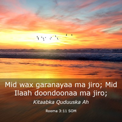 Picture 03 - Rooma 3:11 SOM - Mid wax garanayaa ma jiro; Mid Ilaah doondoonaa - Bible Verse Picture