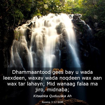 Picture 03 - Rooma 3:12 SOM - Dhammaantood gees bay u wada leexdeen, waxay wada - Bible Verse Picture