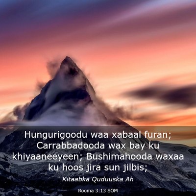 Picture 03 - Rooma 3:13 SOM - Hungurigoodu waa xabaal furan; Carrabbadooda wax - Bible Verse Picture