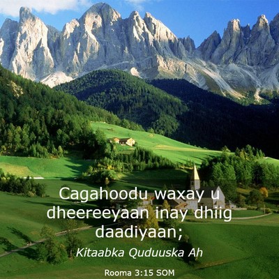 Picture 03 - Rooma 3:15 SOM - Cagahoodu waxay u dheereeyaan inay dhiig - Bible Verse Picture
